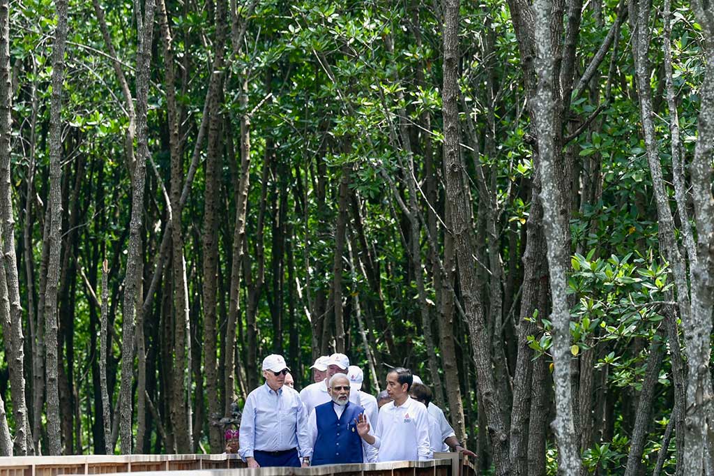 Para tamu negara kemudian berjalan kaki menyusuri jembatan kayu di kawasan hutan bakau sambil mendengar paparan mengenai aksi konservasi bakau di Tahura Ngurai Rai dari Jokowi.?