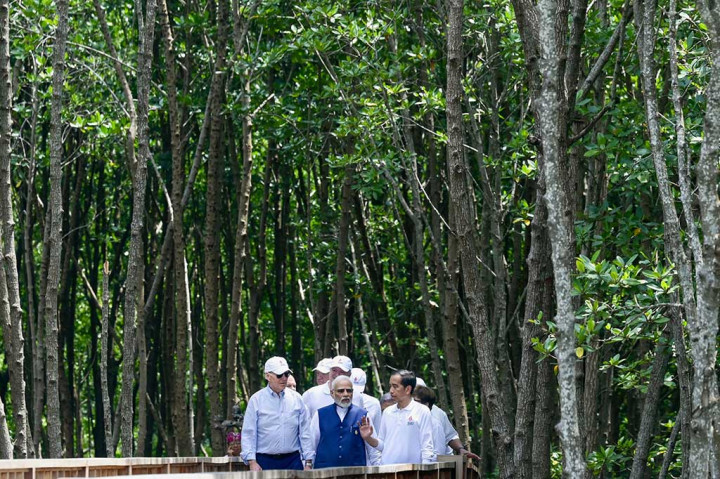 Para tamu negara kemudian berjalan kaki menyusuri jembatan kayu di kawasan hutan bakau sambil mendengar paparan mengenai aksi konservasi bakau di Tahura Ngurai Rai dari Jokowi.?