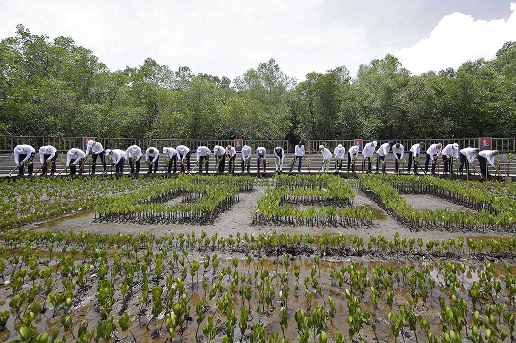 Para tamu negara kemudian melakukan penanaman mangrove yang merupakan rangkaian kegiatan KTT G20 di Tahura Ngurah Rai, Denpasar, Bali. 