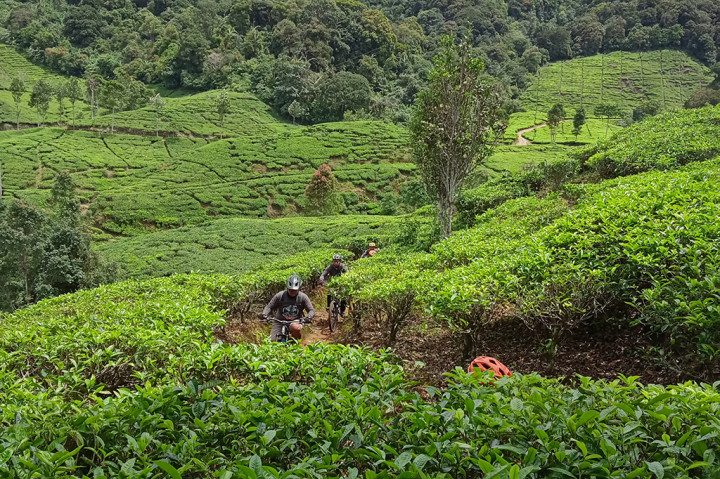 KTH sendiri merupakan singkatan dari Kelompok Tani Hutan, yang beranggotakan para petani sekitar dan mempunyai ide untuk mengelola wilayah hutan untuk tempat wisata sepeda secara mandiri. Tujuannya adalah untuk mendapatkan tambahan penghasilan sekaligus menjaga kelestarian hutan. 