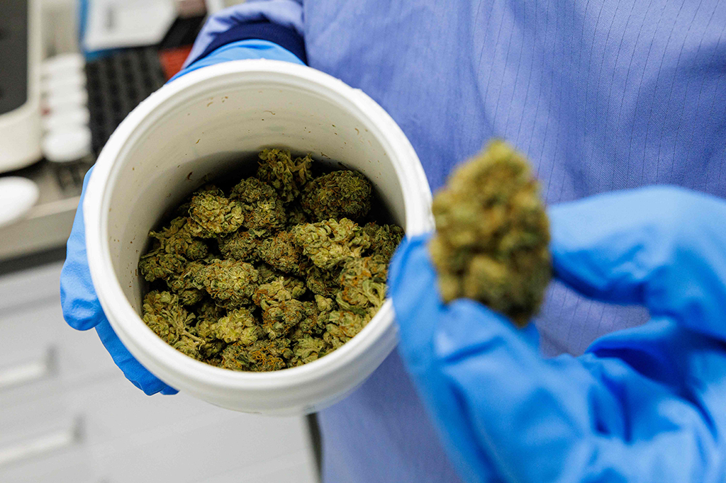 Kompleks besar Demecan, yang luasnya sekitar 120.000 meter persegi, menghasilkan satu ton ganja per tahun, tetapi belum mencapai kapasitasnya.