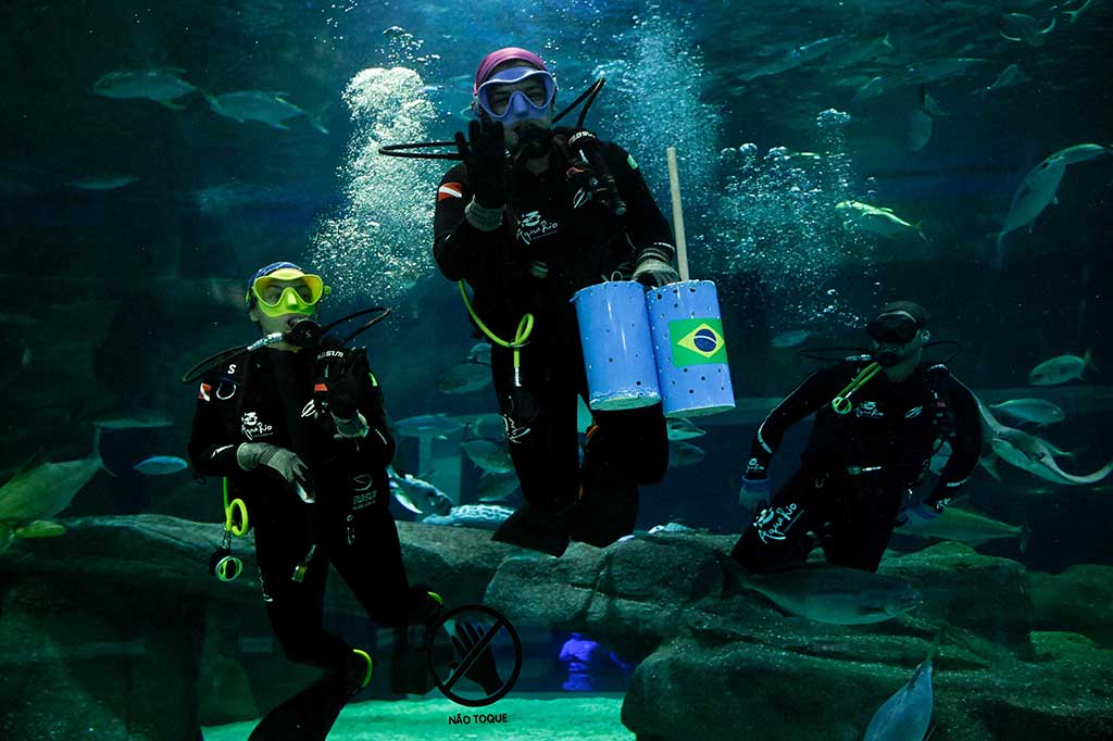 Di sebuah akuarium AquaRio, Rio de Janeiro, Brasil digelar prediksi yang melibatkan seekor hiu bernama Ritinha. Penyelam meletakkan dua buah botol makanan dengan bendera Brasil dan Kroasia.