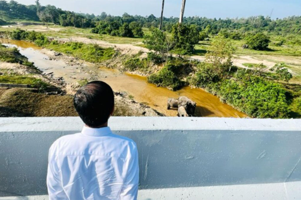 Presiden Joko Widodo (Jokowi) melihat perlintasan gajah di Km 12 ruas tol Pekanbaru-Dumai, Kamis, 5 Januri 2023. 