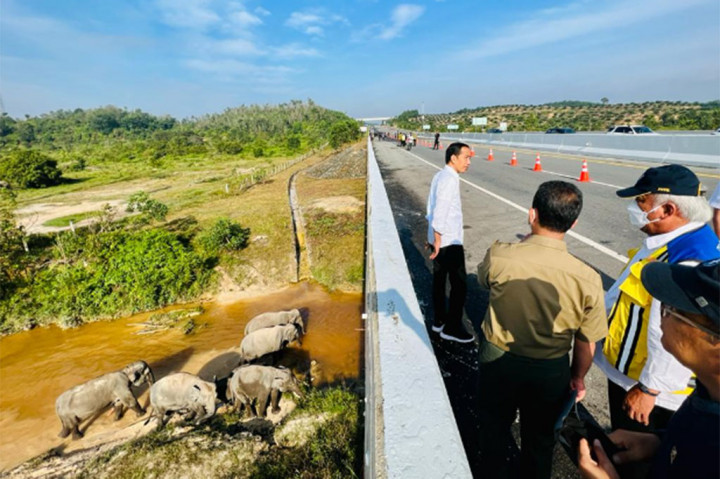 Setelah melihat langsung perlintasan gajah tersebut, Presiden dan rombongan kemudian melanjutkan perjalanan menuju Kabupaten Rokan Hilir.