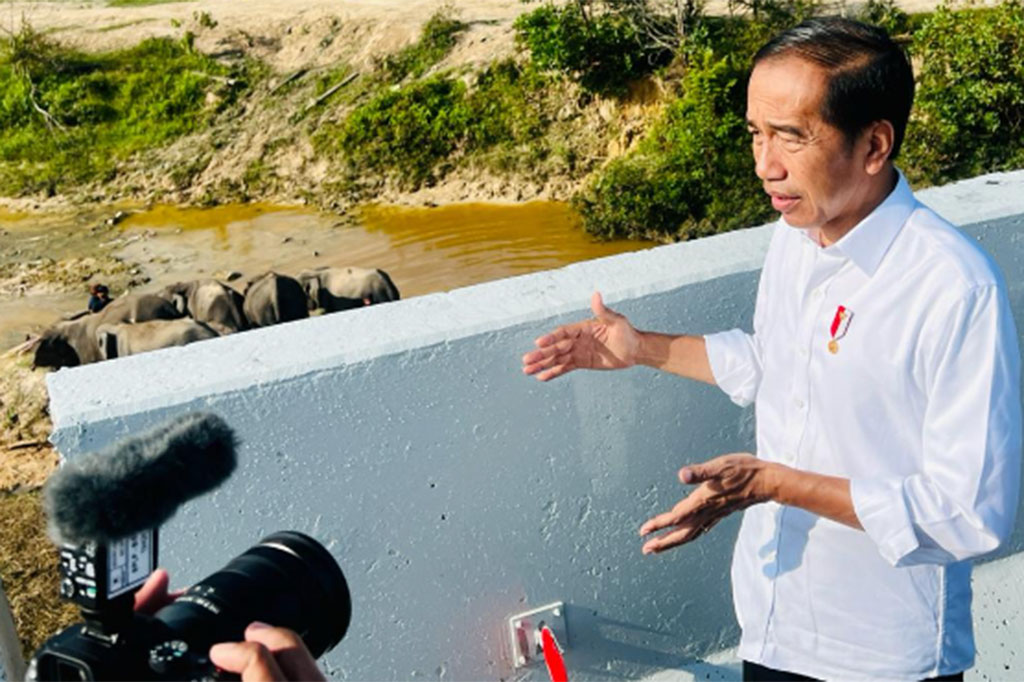 Tidak hanya di Riau, Presiden menuturkan bahwa upaya pelestarian tersebut juga akan dilakukan di tempat lain, agar pembangunan infrastruktur tidak mengganggu kelestarian satwa liar.