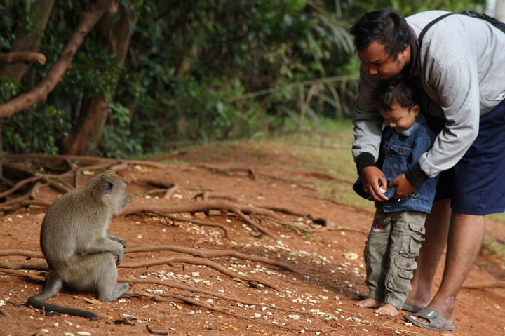 Hal itu dilakukan untuk mengedukasi masyarakat agar lebih menyayangi satwa liar dan peduli terhadap fungsi dan peran hutan sebagai sumber keanekaragaman hayati.