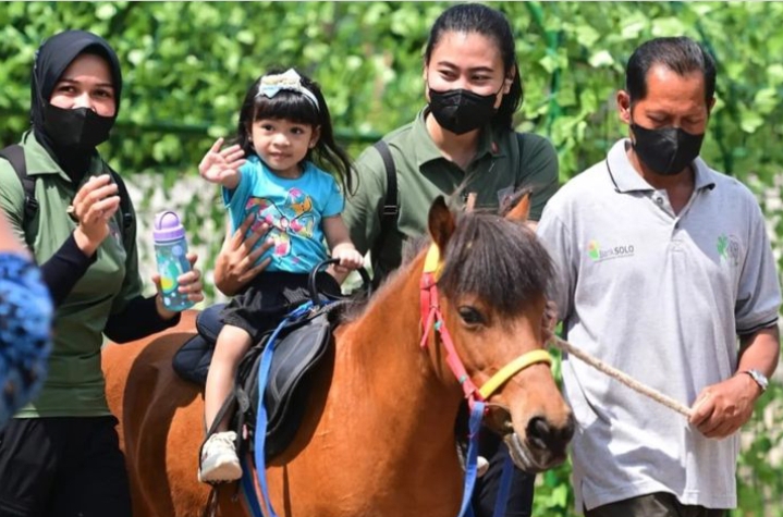 Jokowi mengatakan mengunjungi Solo Safari diajak oleh Wali Kota Surakarta Gibran Rakabuming Raka untuk melihat hasil pembenahan objek wisata tersebut.