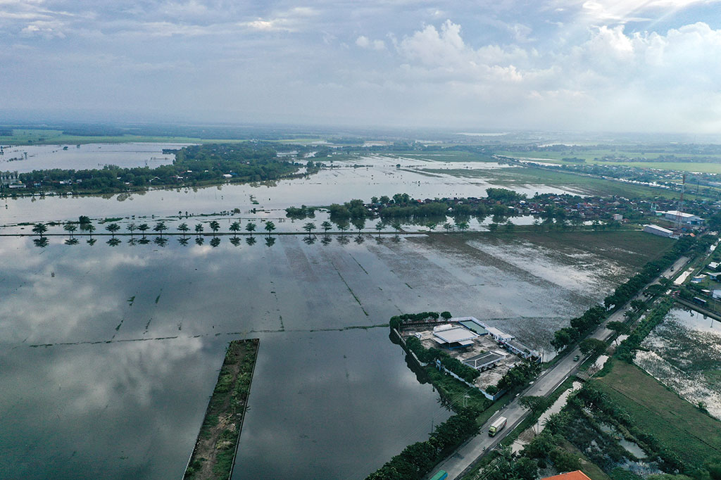 Foto udara menunjukkan sawah milik petani yang masih terendam banjir di Desa Purworejo, Pati, Jawa Tengah, Senin, 23 Januari 2023. 