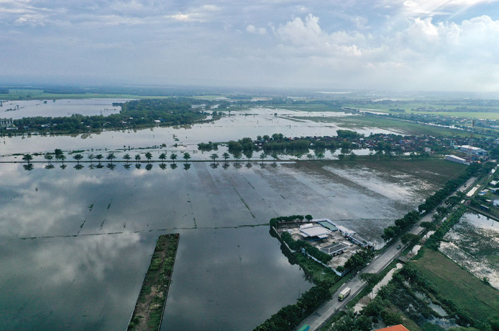 Foto udara menunjukkan sawah milik petani yang masih terendam banjir di Desa Purworejo, Pati, Jawa Tengah, Senin, 23 Januari 2023. 