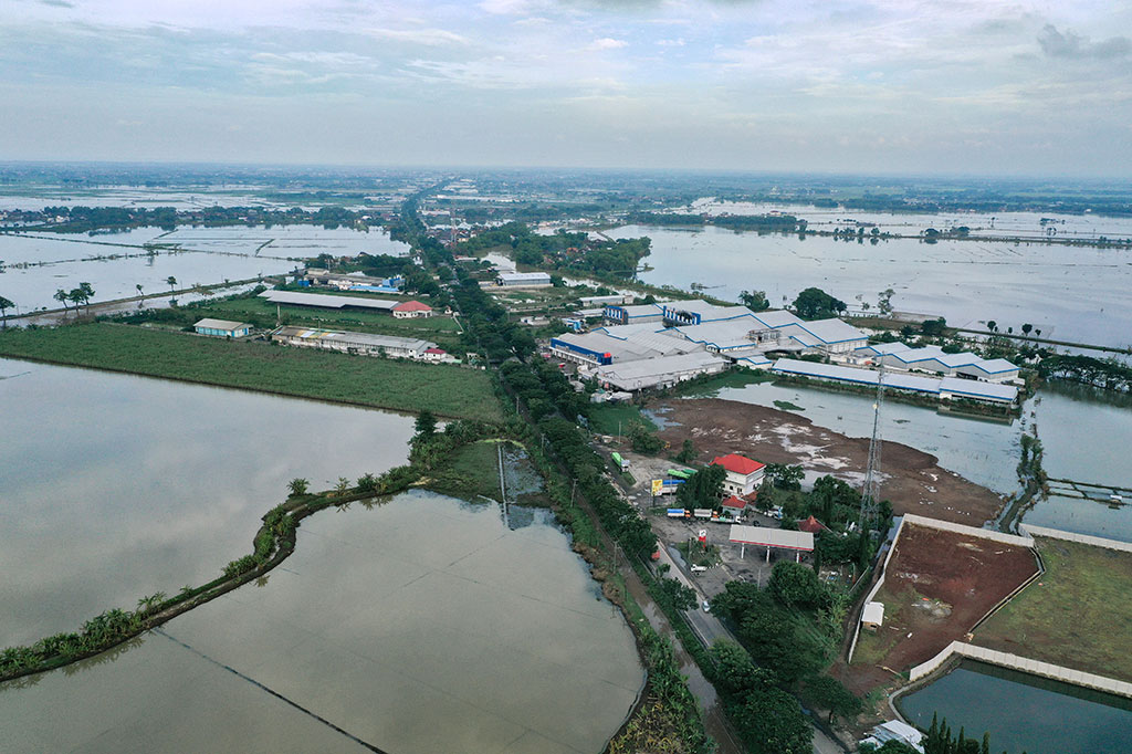 Banjir masih merendam 25 desa di lima kecamatan di Kabupaten Pati, Jawa Tengah. Tidak hanya permukiman warga, banjir juga merendam area persawahan. Akibatnya petani merugi hingga puluhan miliar rupiah.