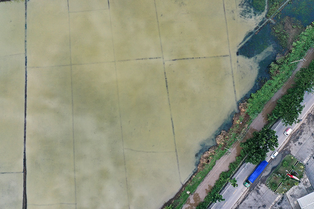 Kepala Dinas Kabupaten Pati Niken Tri Meiningrum mengatakan bahwa pihaknya akan mendorong asuransi petani bisa dicairkan bagi petani yang sudah terdaftar asuransi. 