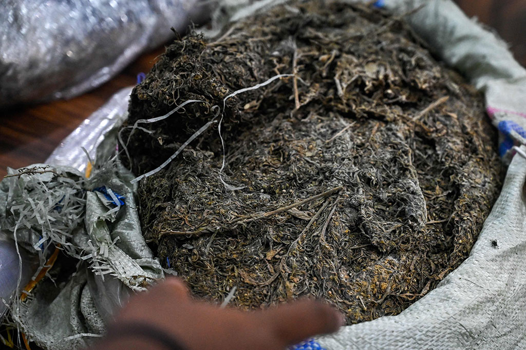 Direktorat Reserse Narkoba Polda Aceh berhasil mengungkap kasus narkotika jenis ganja di tiga lokasi berbeda. Tim Ditresnarkoba mengamankan sebanyak 16,2 ton ganja basah, 25 kg ganja kering, dan 10 hektare ladang ganja.