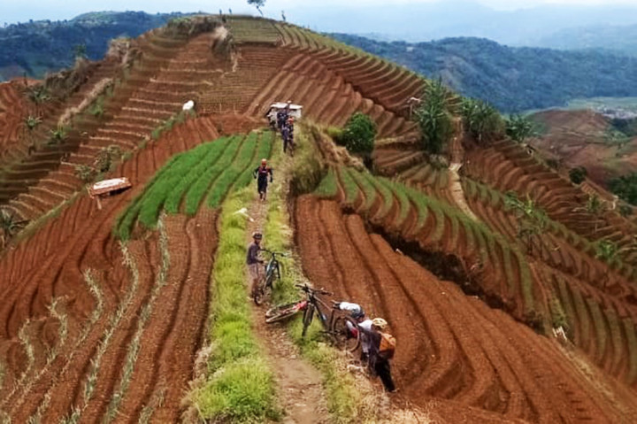 Salah satu destinasi wisata di Majalengka, Jawa Barat yang saat ini tengah viral adalah Puncak Sawiyah. Dengan pemandangan alam pegunungan dan menghijaunya tanaman sayur mayur memanjakan mata untuk menikmatinya.