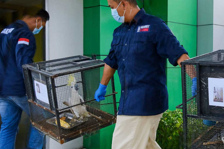 LVH merupakan nakhoda kapal MV Royal 06 berbendera Vietnam sekaligus pemilik satwa dilindungi dari Indonesia diamankan di  perairan Sungai Pontianak pada tanggal 20 Desember 2022. dalam patroli tersebut, ditemukan 36 satwa liar yang dilindungi undang-undang berupa bekantan sebanyak 16 ekor, burung kakak tua maluku (10 ekor), burung kakak tua koki (3 ekor), burung kakak tua putih (3 ekor), burung kakak tua jambul kuning (3 ekor) dan burung kakak tua raja (1 ekor).