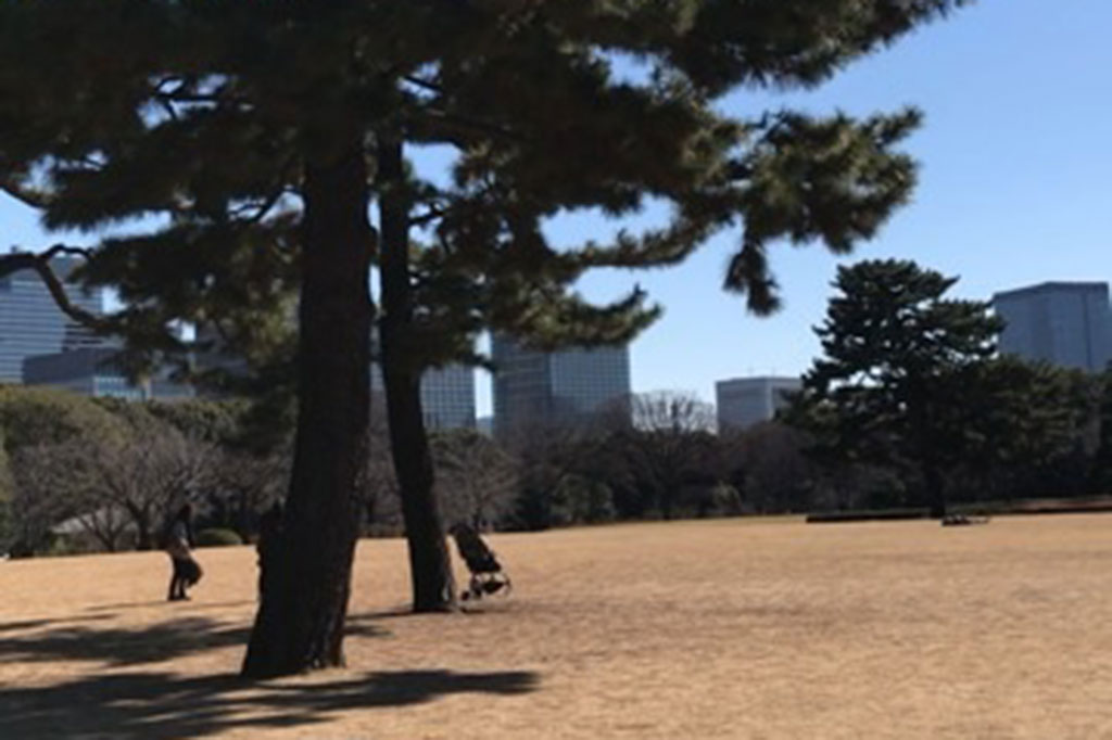 Lanskap taman Istana Kaisar Jepang sangat luar biasa indah. Mulai dari pepohonan, anggrek, sakura, hingga lapangan rumput yang terbentang luas ada di sana. Ada juga taman berisi bunga mawar serta pohon bambu yang memiliki ciri khas unik Jepang.