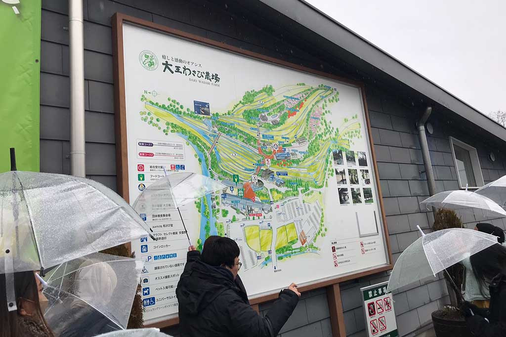 Medcom.id sempat mendatangi tempat budi daya wasabi milik Daio Wasabi Farm. Fasilitas milik Daio ini merupakan salah satu yang terbesar.