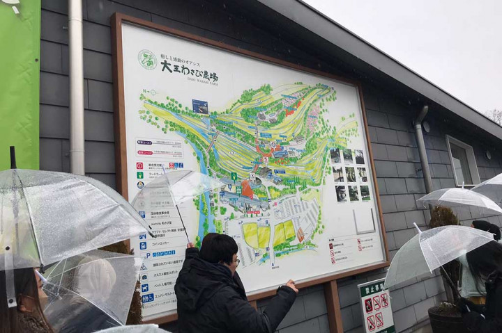 Medcom.id sempat mendatangi tempat budi daya wasabi milik Daio Wasabi Farm. Fasilitas milik Daio ini merupakan salah satu yang terbesar.