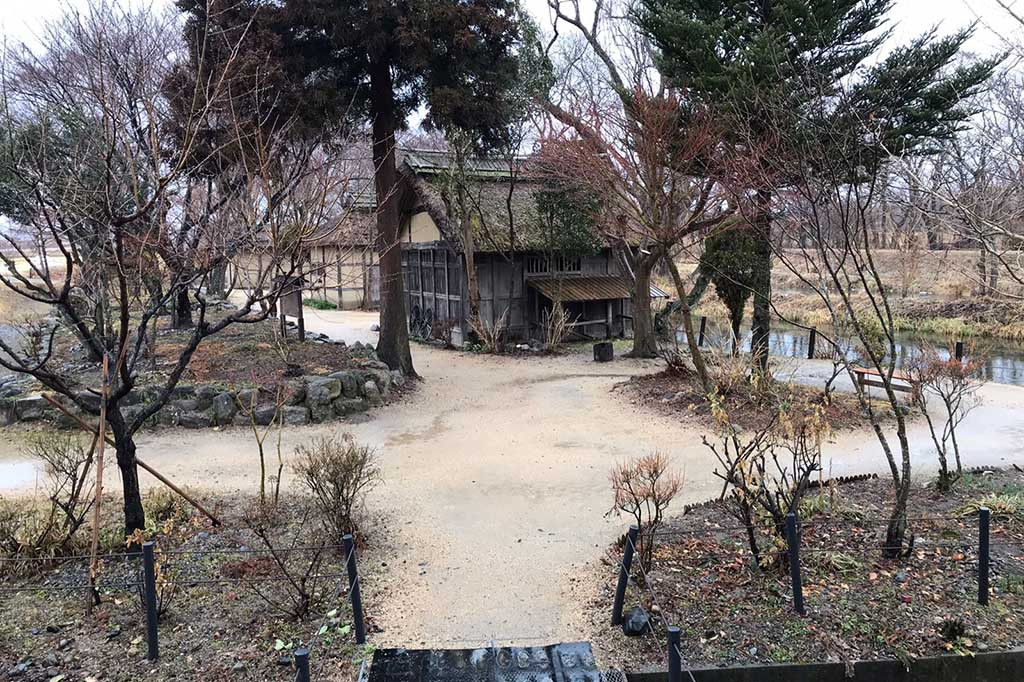 Tempat budidaya wasabi milik Daio Wasabi Farm ini sangat luas. Fasilitas ini memiliki tiga unit kincir air.