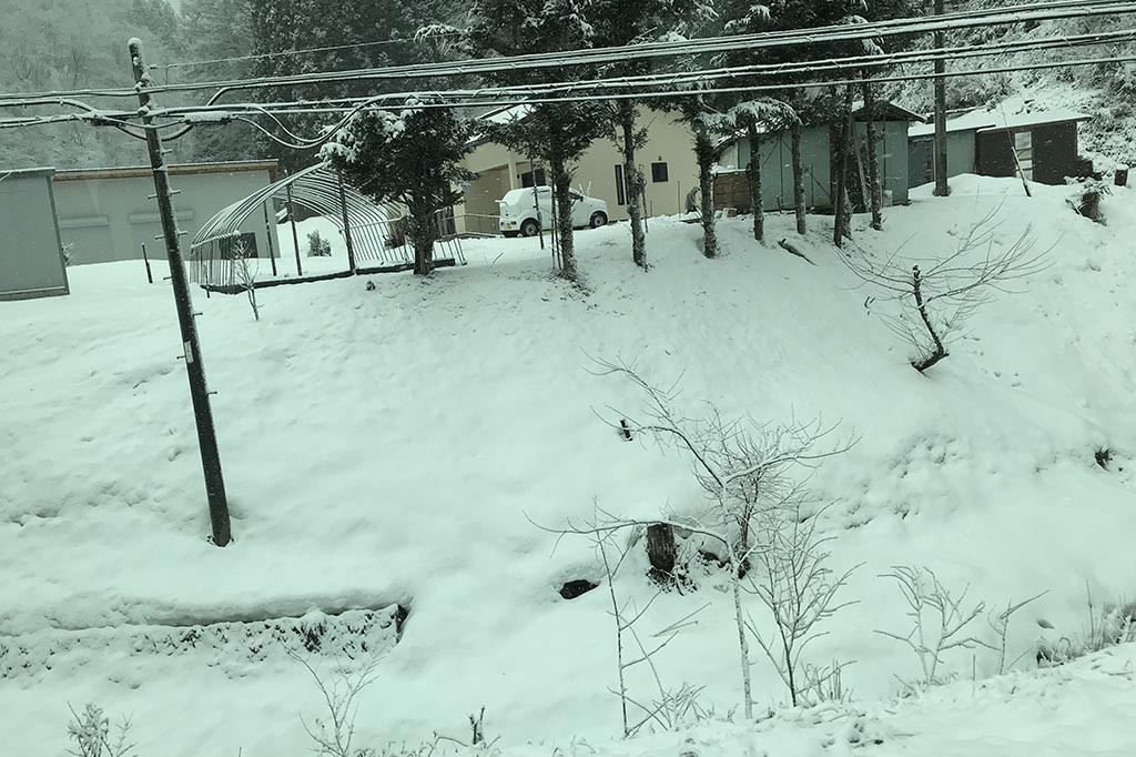 Pemandangan lebih menakjubkan dalam perjalanan dari Nagano menuju Tokyo. Pohon-pohon menjadi putih ditutupi salju, bahkan sekilas tampak seperti berwarna perak.