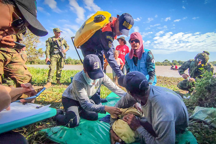 Beberapa petugas membawa lumba-lumba di tempat tidur gantung darurat, sementara yang lain memeriksa kondisi mamalia tersebut dan menyemprotnya dengan air.