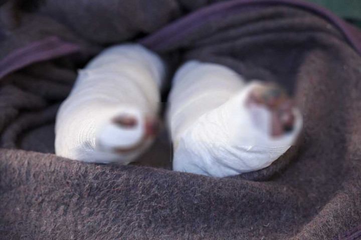 Sham dipuji karena keberaniannya setelah menyenandungkan lagu bersama tim penyelamat White Helmets, yang bekerja selama enam jam untuk membebaskannya dari beton. Adegan-adegan tersebut terekam dan menjadi viral di dunia maya.