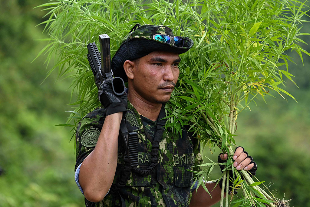 Menyinggung pemilik ladang, Mirwazi mengatakan tidak ada seorang pun di ladang ganja tersebut saat ditemukan. Sama seperti sebelumnya, pemilik atau orang menanam ganja ada saat menyemai benih, kemudian kembali saat panen.