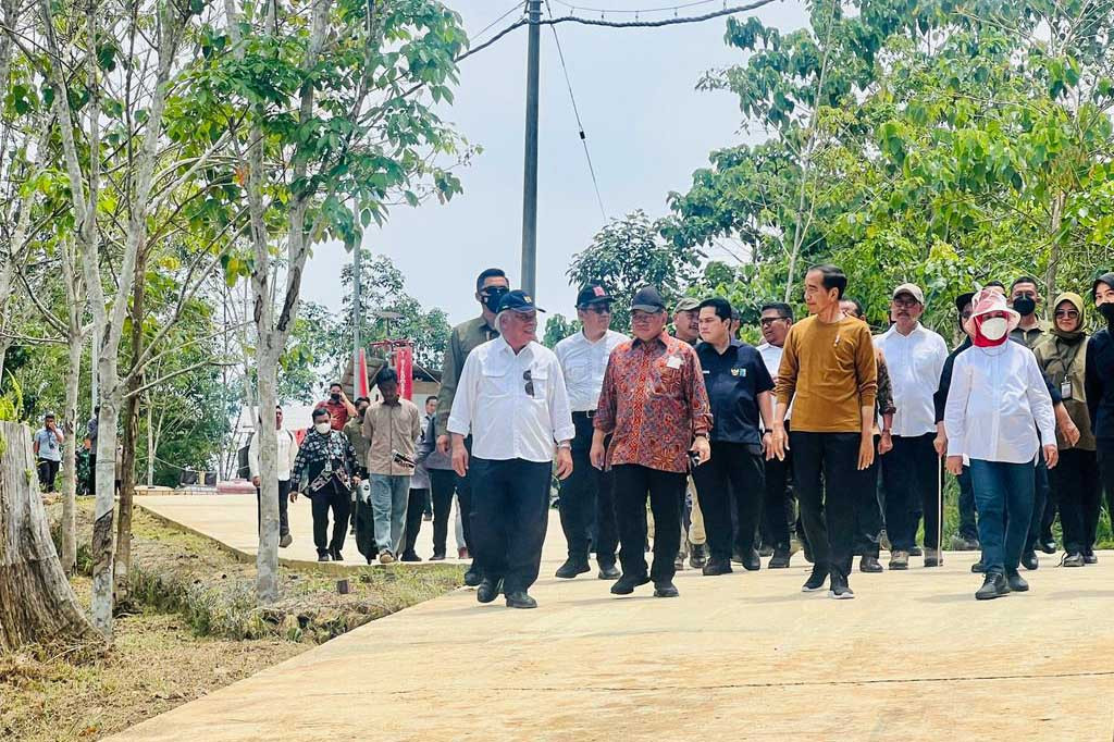 Jokowi mengatakan bahwa Persemaian Mentawir dibangun pemerintah untuk mendukung penghijauan kembali kawasan Ibu Kota Nusantara (IKN) serta Pulau Kalimantan. Persemaian Mentawir juga merupakan wujud dimulainya komitmen pemerintah Indonesia terhadap lingkungan.