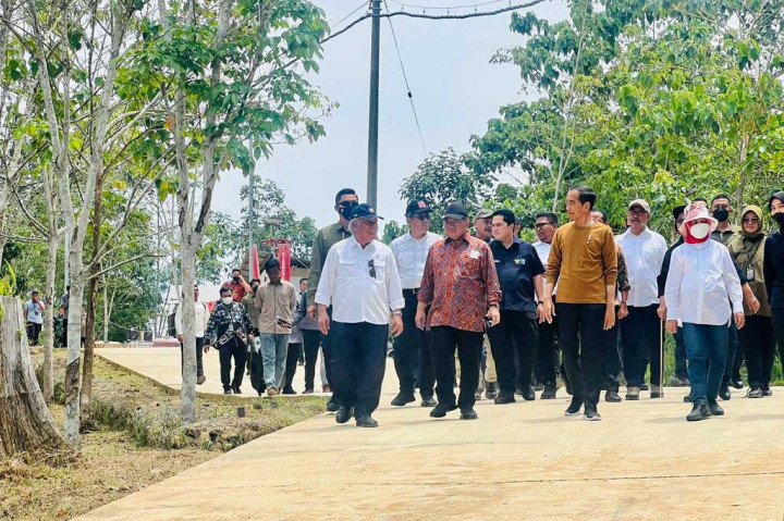 Jokowi mengatakan bahwa Persemaian Mentawir dibangun pemerintah untuk mendukung penghijauan kembali kawasan Ibu Kota Nusantara (IKN) serta Pulau Kalimantan. Persemaian Mentawir juga merupakan wujud dimulainya komitmen pemerintah Indonesia terhadap lingkungan.