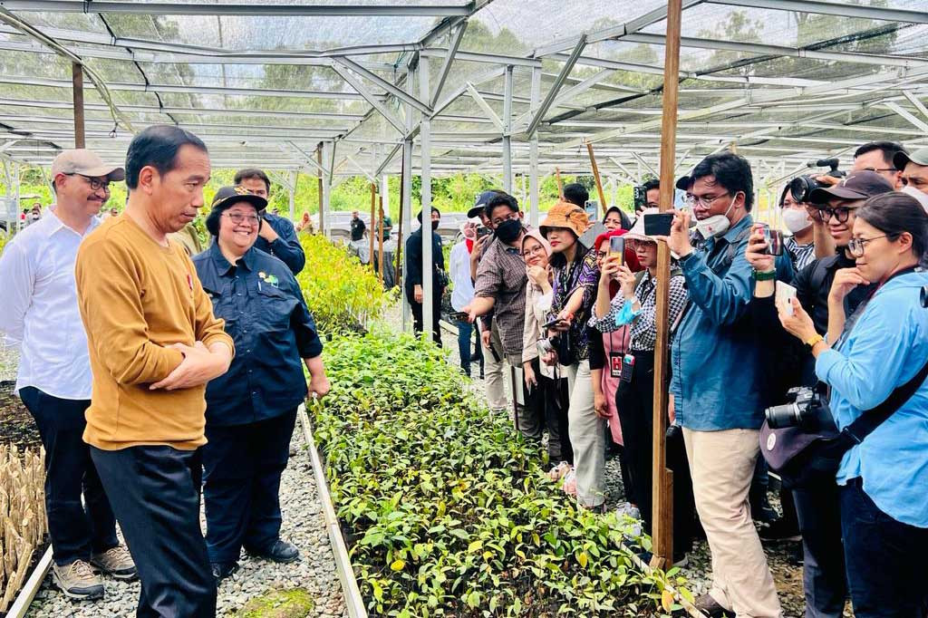 Tidak hanya IKN, persemaian Mentawir juga akan mendukung penghijauan kembali Pulau Kalimantan. Mulai dari kawasan reklamasi bekas tambang hingga lahan-lahan kritis yang ada di Pulau Kalimantan.