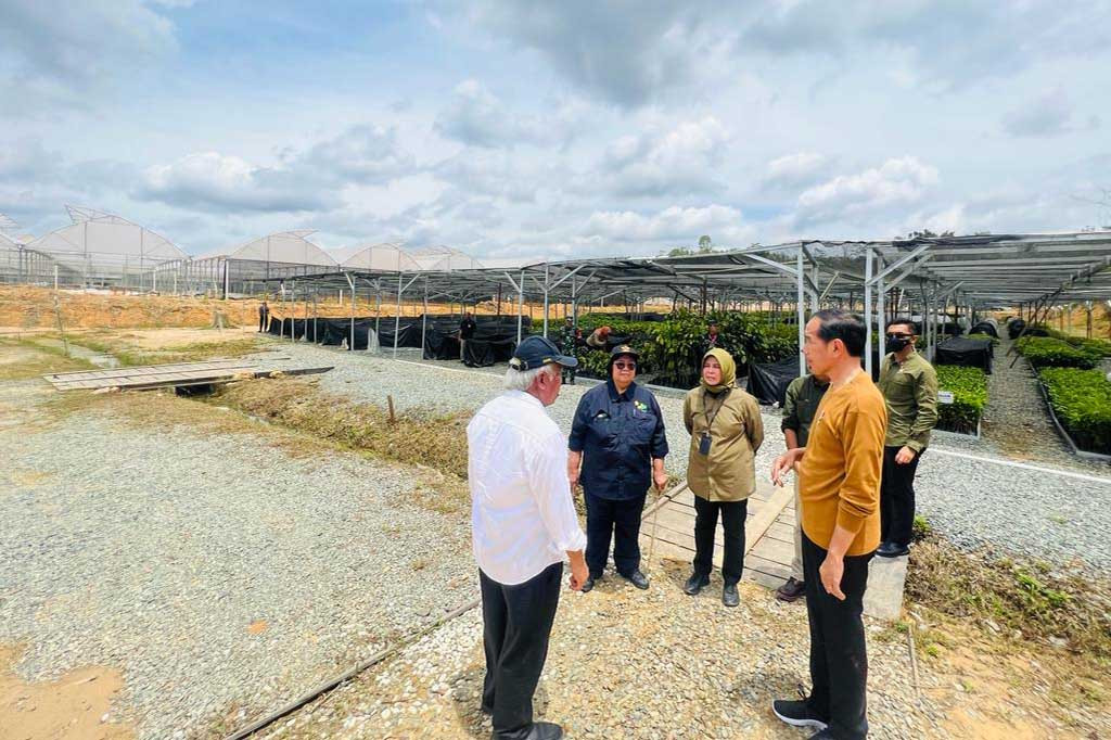 Menurut Presiden, persemaian yang disiapkan sejak 2021 tersebut akan memproduksi kurang lebih 20 juta bibit tanaman per tahun. Bibit yang ditanam juga akan fokus pada tanaman-tanaman endemik Kalimantan dan beberapa pohon yang mulai langka di Kalimantan.
