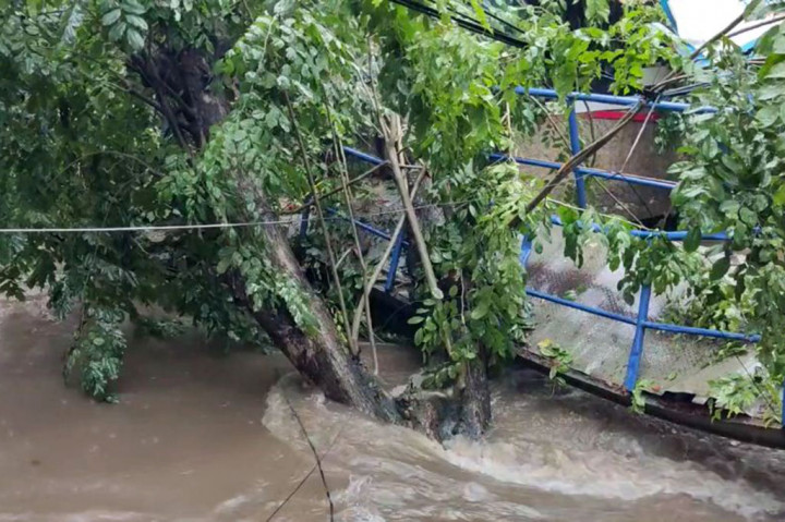 Tiga pohon berukuran besar di kelurahan Cipinang Melayu, Jakarta Timur tumbang. Pohon-pohon setinggi sekitar 10 meter itu menimpa jembatan dan rumah hingga mengalami kerusakan.