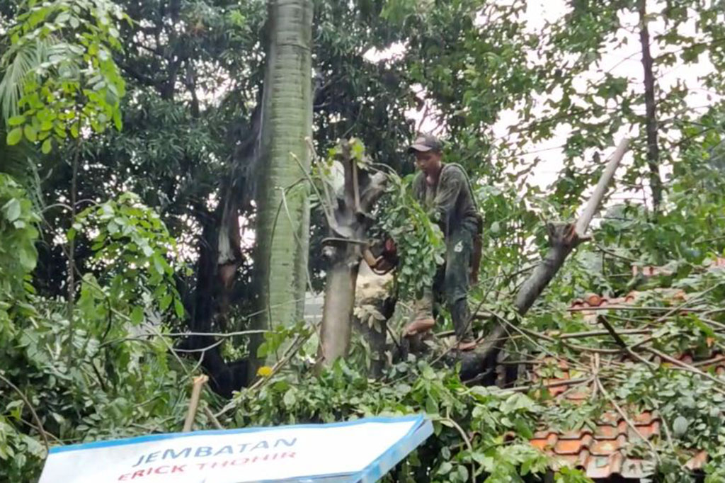 Sekitar 10 personel pemadam kebakaran dikerahkan untuk menangani pohon tumbang. Proses evakuasi dilakukan dengan memotong batang pohon menggunakan gergaji mesin.