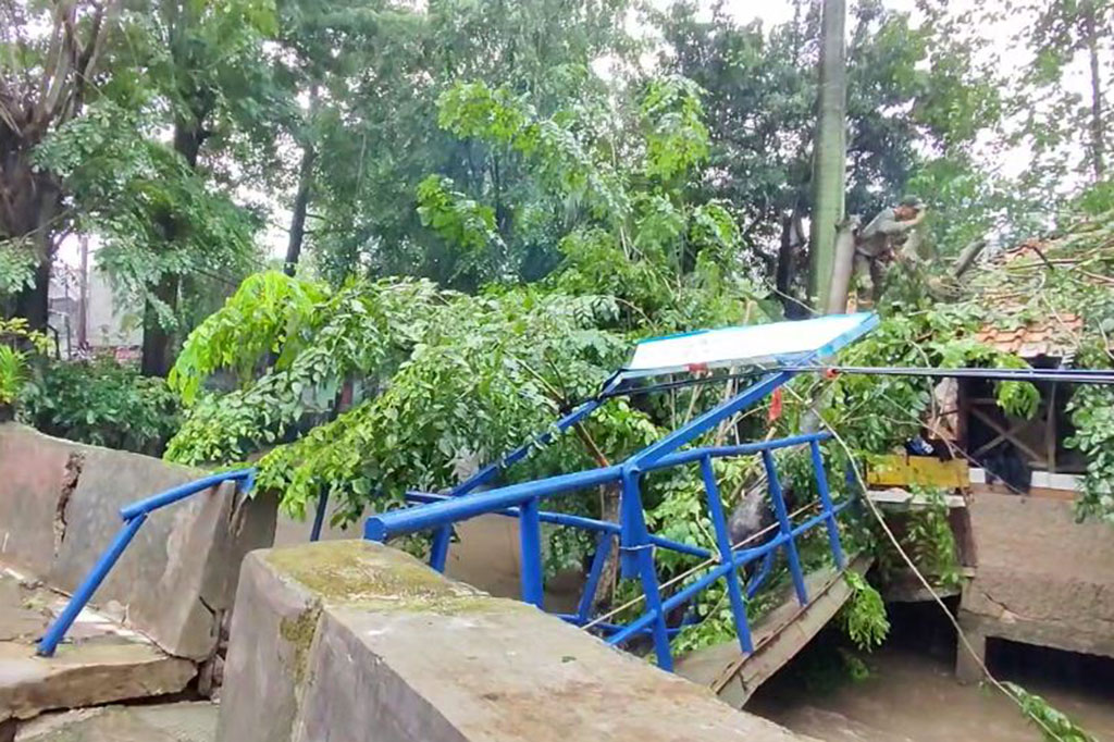 Proses penanganan pohon tumbang selesai pada pukul 10.45 WIB. BPBD melaporkan tidak ada korban jiwa dalam peristiwa tersebut, namun kerugian diperkirakan mencapai Rp70 juta.
