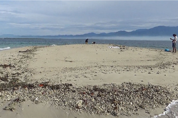 Aktivis lingkungan pesisir yang sekaligus sebagai Ketua Sahabat Penyu Muhammad Yusri mengatakan, awalnya pulau baru ini ditemukan dan dilaporkan oleh nelayan sekitar.  
