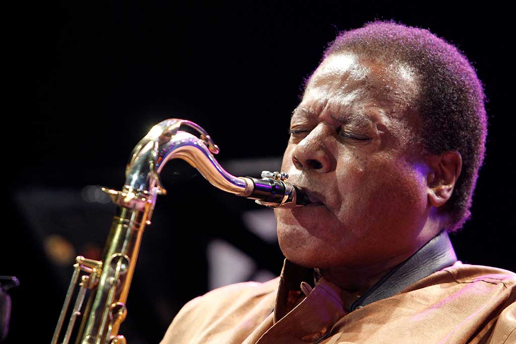 Penghormatan untuk mendiang dengan cepat mulai berdatangan. Pemain terompet dan komposer Wynton Marsalis memuji Shorter sebagai raksasa saksofon dan pembawa pesan jazz.