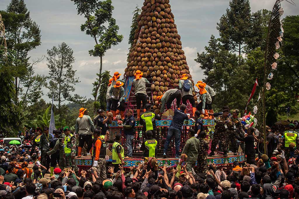 Ribuan warga dari berbagai daerah berebut durian gratis yang disajikan dalam kegiatan Kenduri Durian (Kenduren) di Kecamatan Wonosalam, Kabupaten Jombang, Provinsi Jawa Timur (Jatim), Minggu, 5 Maret 2023.