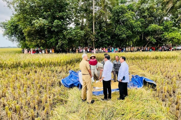 Presiden Joko Widodo meninjau panen raya padi dan berdialog dengan petani di Desa Lajer, Kecamatan Ambal, Kabupaten Kebumen, Provinsi Jawa Tengah, Kamis, 9 Maret 2023.