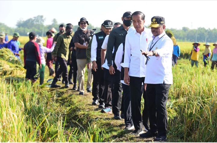 Pemerintah melalui Badan Pangan sedang menghitung ulang harga pembelian pemerintah (HPP) terbaru untuk gabah dan beras dengan memperhitungkan sewa lahan, pembelian pupuk, bibit, serta operasional lainnya agar petani tetap mendapatkan untung.