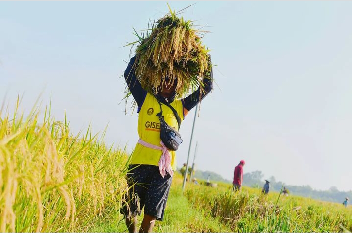 Karena itu, ia meminta agar HPP yang ditetapkan nanti dipastikan tidak di bawah biaya pengeluaran atau operasional yang dikeluarkan oleh para petani. 