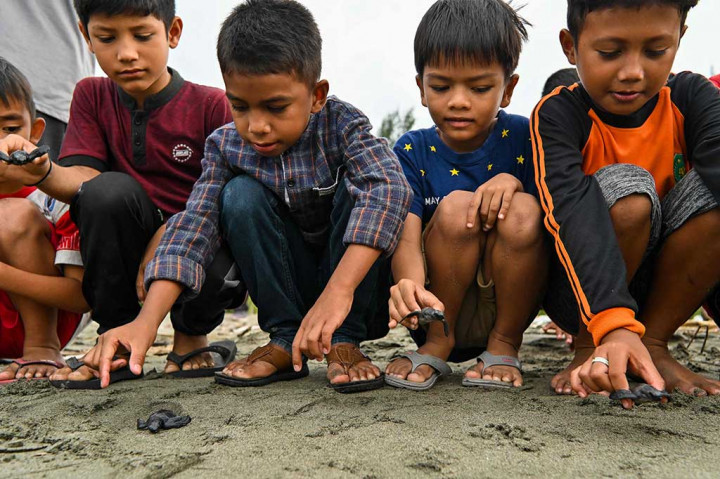 Anak-anak turut melepasliarkan tukik atau anak penyu di Pantai Islami, Kecamatan Peukan Bada, Kabupaten Aceh Besar, Selasa, 14 Maret 2023.