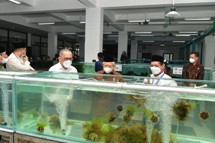 Wakil Presiden Maruf Amin mendorong pengembangan riset produk halal oleh Badan Riset dan Inovasi Nasional (BRIN) berbasis pada sumber daya lokal dengan mengoptimalkan kekayaan Indonesia dari berbagai sektor.