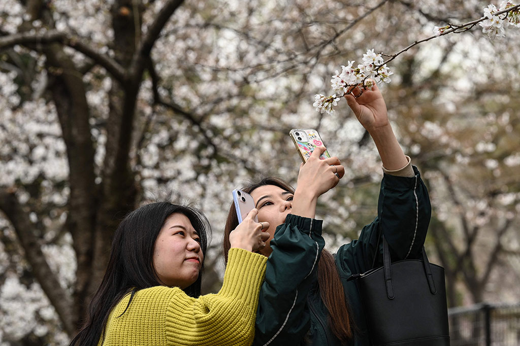 Dua perempuan muda mengabadikan bunga sakura yang mekar di Taman Hibiya, Tokyo, Jepang pada Selasa, 21 Maret 2023. Jepang mengumumkan dimulainya secara resmi musim bunga sakura di Tokyo pada Selasa, 14 Maret 2023, 10 hari lebih awal dari biasanya. Awal musim lebih awal ini hanya terlihat dua kali sebelumnya.