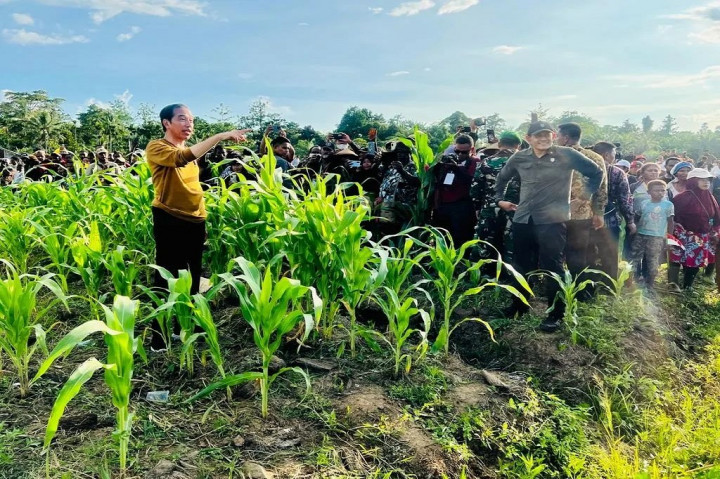 Presiden Joko Widodo meninjau lumbung pangan (food estate) di Kabupaten Keerom, Papua, Selasa, 21 Maret 2023.