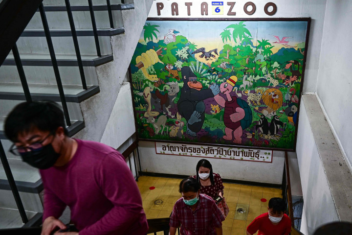 Pata telah mengajukan perpanjangan izin sebelum masa berlakunya habis, kata Padej, seraya menambahkan bahwa dia sangat mengkhawatirkan keselamatan kebakaran gedung, bukan kesejahteraan hewan.