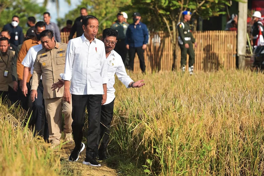 Presiden Joko Widodo memulai kegiatan hari kedua kunjungan kerja di Provinsi Sulawesi Selatan dengan meninjau Panen Raya di Desa Baji Pamai, Kecamatan Maros Baru, Kabupaten Maros, Sulawesi Selatan, Kamis, 30 Maret 2023. 