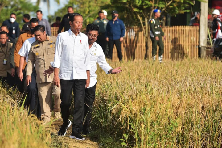 Presiden Joko Widodo memulai kegiatan hari kedua kunjungan kerja di Provinsi Sulawesi Selatan dengan meninjau Panen Raya di Desa Baji Pamai, Kecamatan Maros Baru, Kabupaten Maros, Sulawesi Selatan, Kamis, 30 Maret 2023. 
