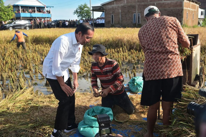 Menurut Presiden hasil panen di Maros tergolong bagus, meskipun sejumlah lahan sempat terendam banjir, tetapi padi yang dihasilkan dapat mencapai sekitar 5,5 ton per hektare.