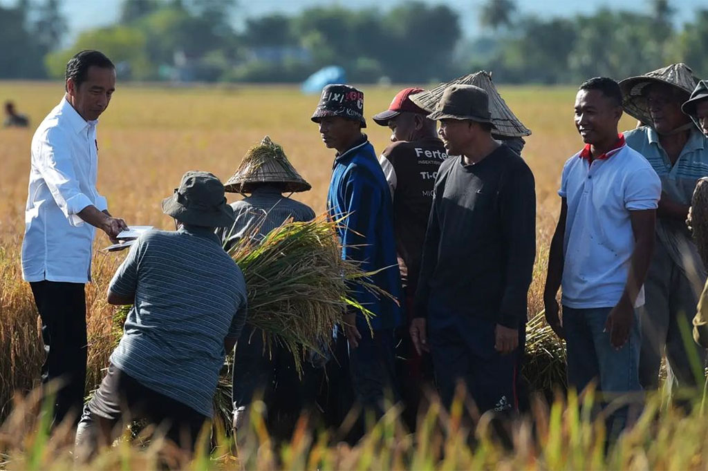 Di sisi lain, Presiden meyakini jumlah pasokan beras yang tinggi, bersamaan dengan berlangsungnya panen raya di beberapa daerah, secara otomatis akan membuat harga di pasar turun.