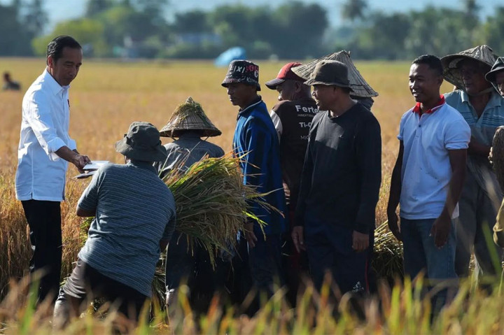 Di sisi lain, Presiden meyakini jumlah pasokan beras yang tinggi, bersamaan dengan berlangsungnya panen raya di beberapa daerah, secara otomatis akan membuat harga di pasar turun.