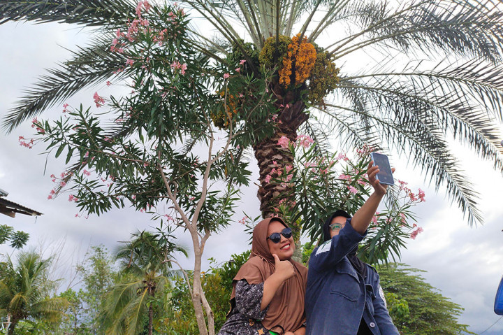 Warga berswafoto dengan latar belakang pohon kurma yang berbuah lebat di Desa Oloboju, Kecamatan Sigi Biromaru, Kabupaten Sigi, Sulawesi Tengah.